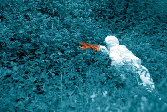 images-accord-sensible